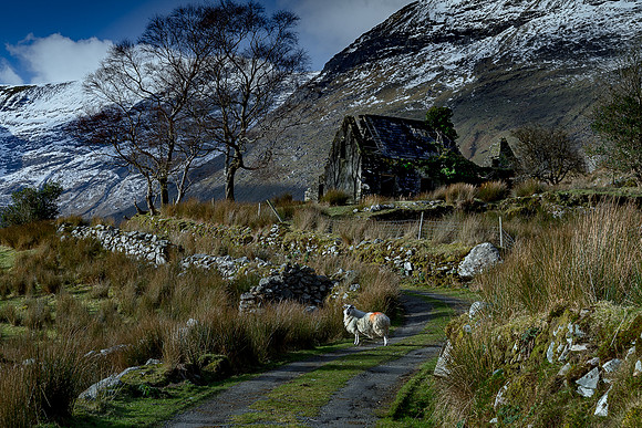 Not another one